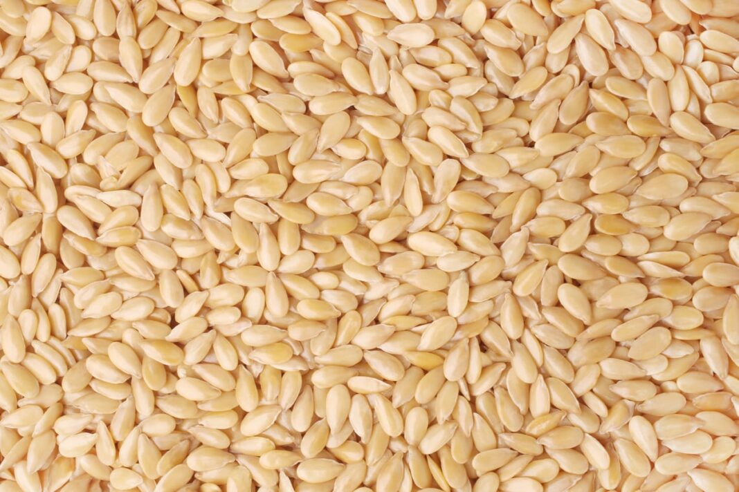 Nigeria’s sesame market lucrative but weighed down by challenges