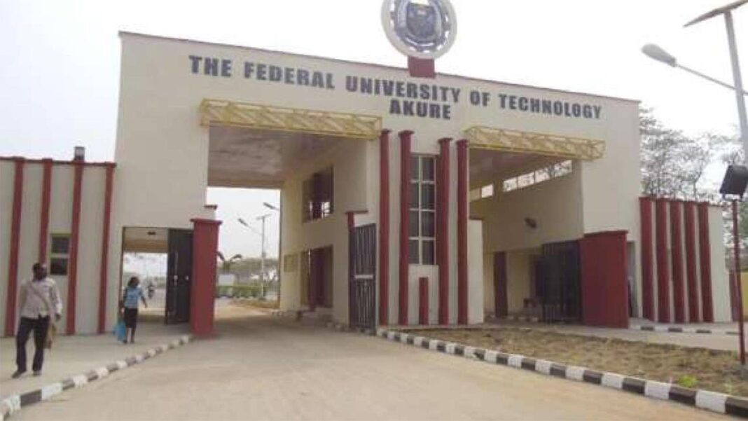 Research council partners UI, FUTA researchers on local plywood