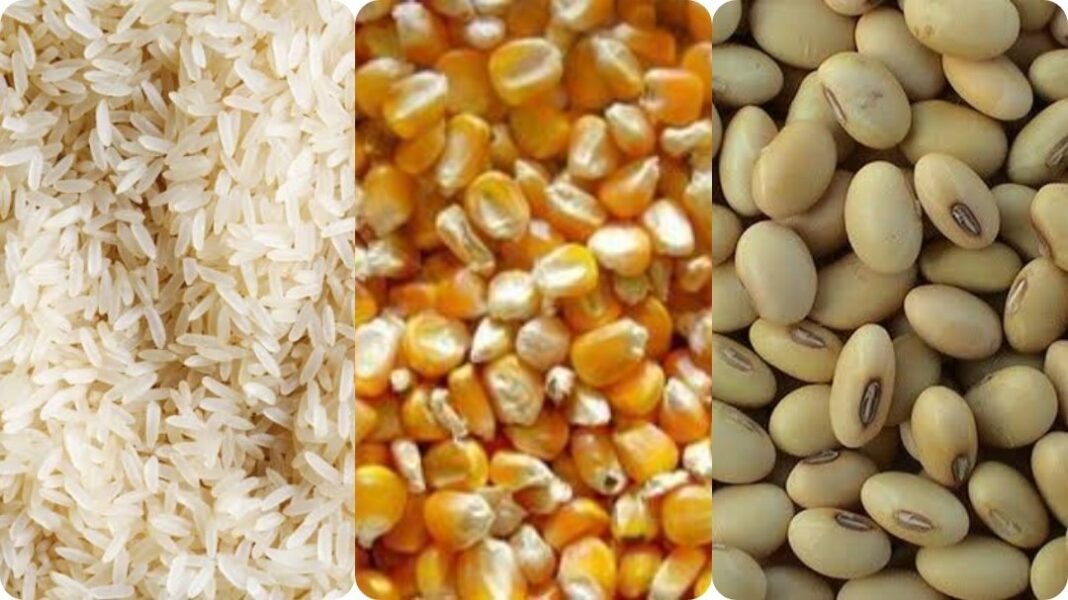 USAID to prioritise business opportunities for rice, maize, soybean