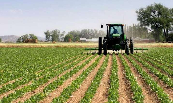 We’re treating agriculture as moneymaking business — FG