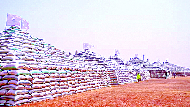 With ABP rice pyramids, Kebbi steps up as main hub of rice production