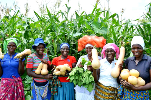 Women Farmers In Kwara Task Government Funding