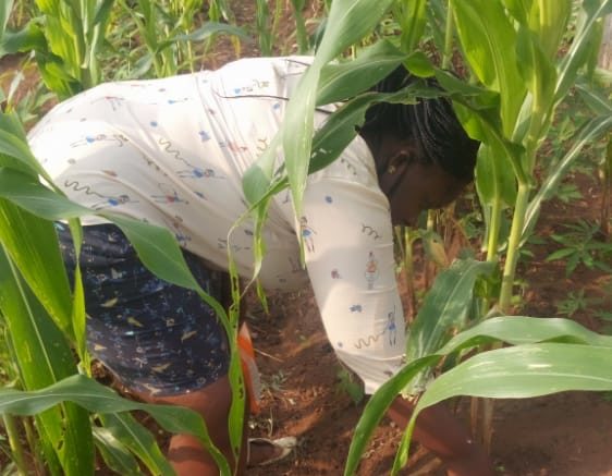 Women in Agriculture: How I manage farms in several states — Farmer