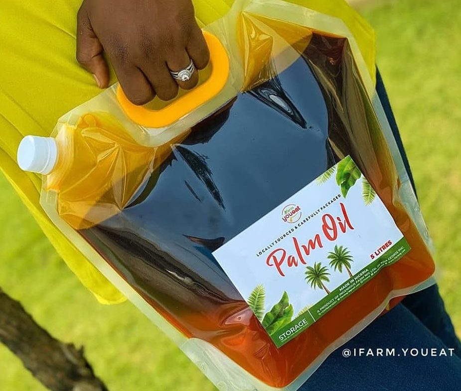 Women in Agriculture: Key lessons I’ve learnt exporting Nigerian food – Agripreneur