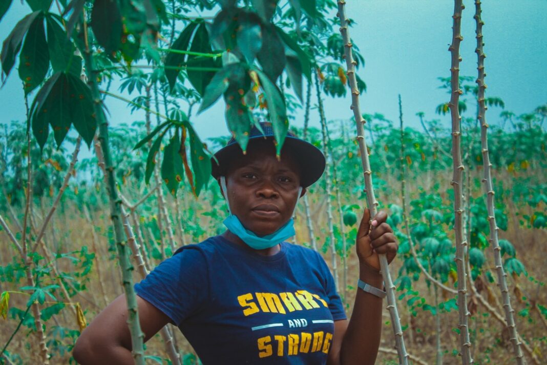 Women in Agriculture: ‘How tech background has helped me as a farmer’