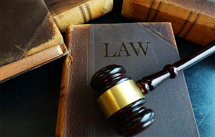 Archaic Laws, Prosecution Period Triggers Illegal Wildlife Trade- Experts