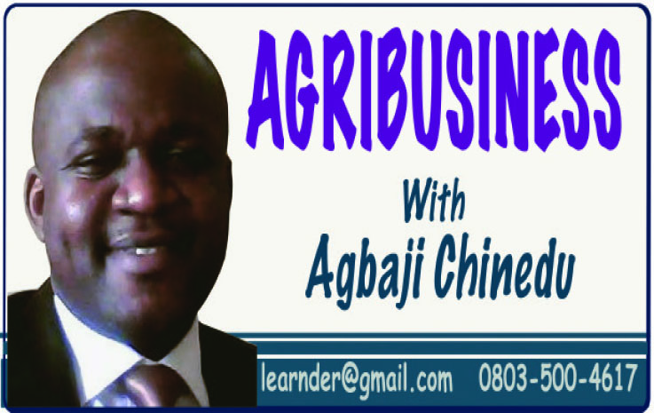 How To Invest In Livestock Feed Formulation Business Enterprise