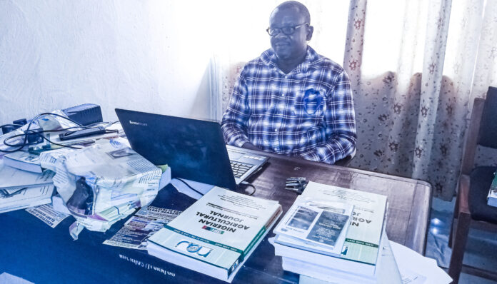INTERVIEW: Why Nigeria isn’t producing enough cassava for its population – Expert