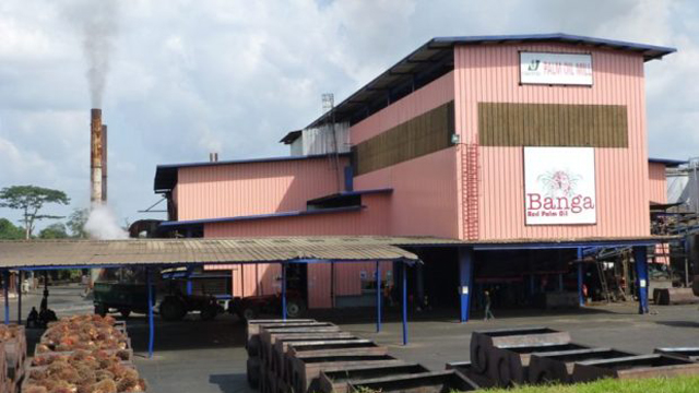Okomu unveils pilot phase for smallholder oil palm farmers