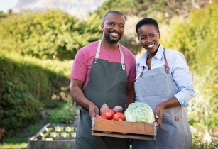 smallholder