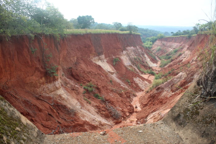 SPECIAL REPORT: Communities groan as erosion ravages farmlands, threatens food security in South-east Nigeria