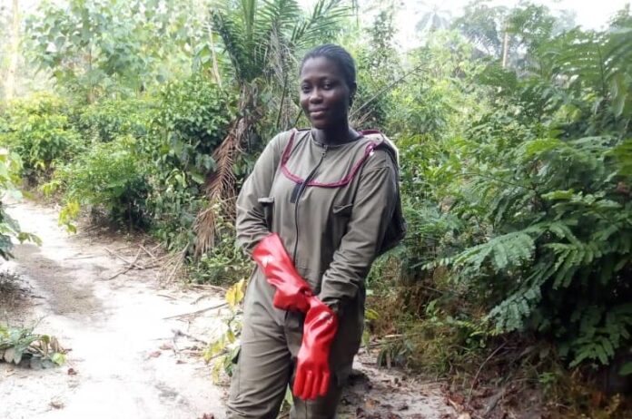 Women in Agriculture: My struggles with herders – Bee farmer
