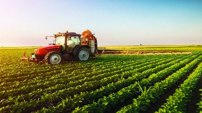 ‘Our commitment to reduce  unemployment through agriculture is real’