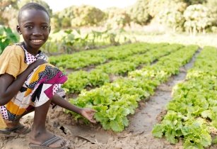 AF agriculture