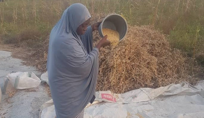 As climate change hits Nigeria, small scale women farmers count losses