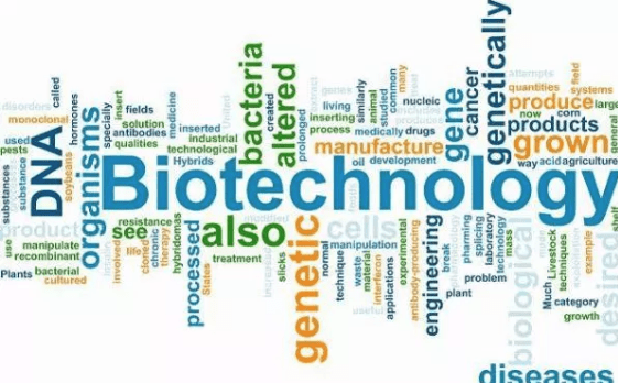 Biotechnology solution to ‘Agricultural challenges — Kyetere