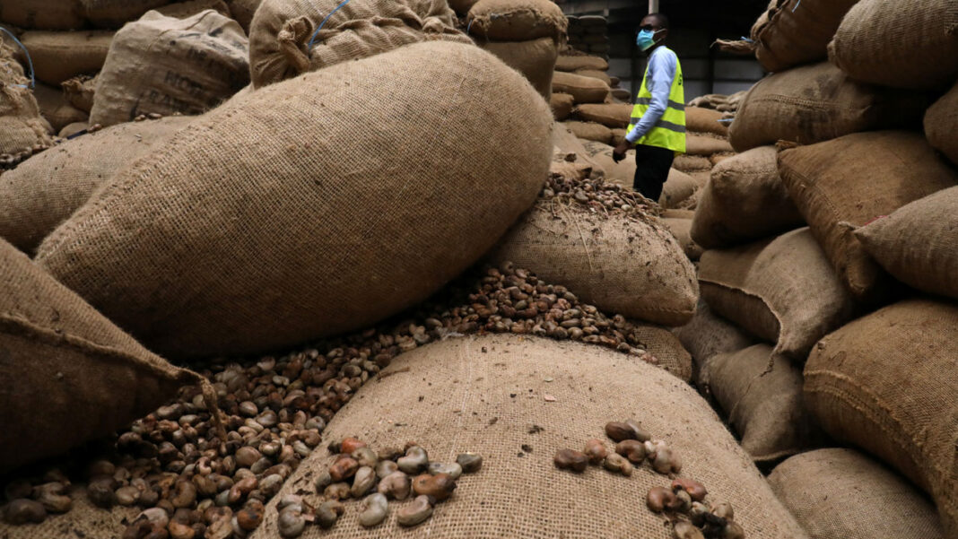 Enugu, World Bank create cashew processing centre