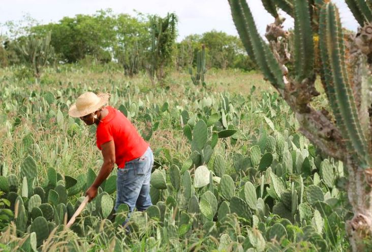 FCT Farmers Ready For Wet Season Planting