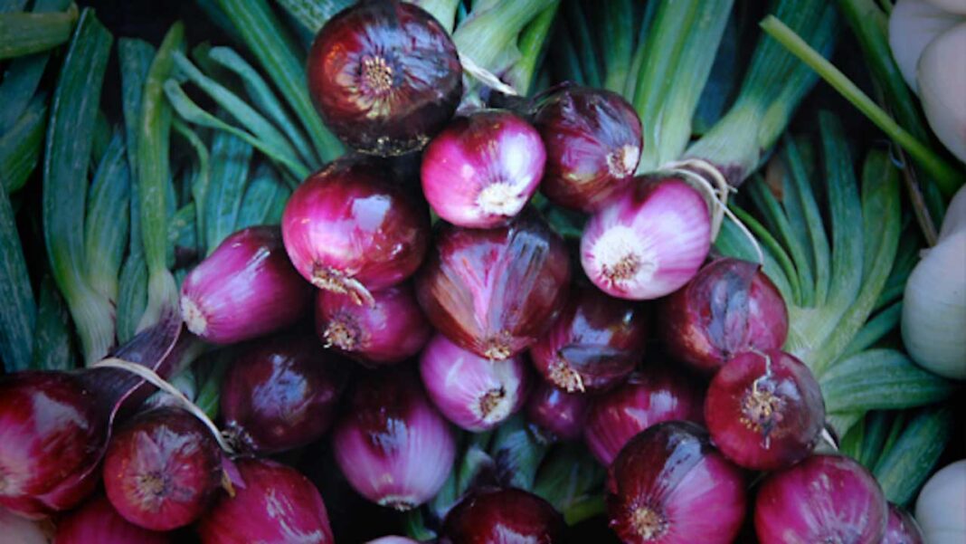FG moves to boost onion production, targets export