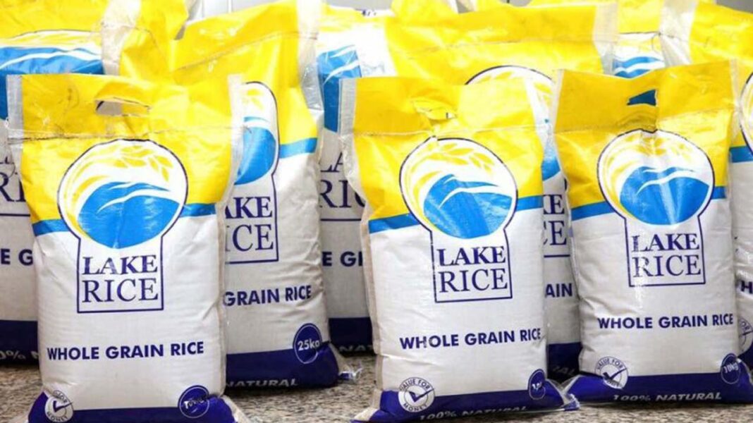 Lake Rice will soon return in grand scale — Olusanya