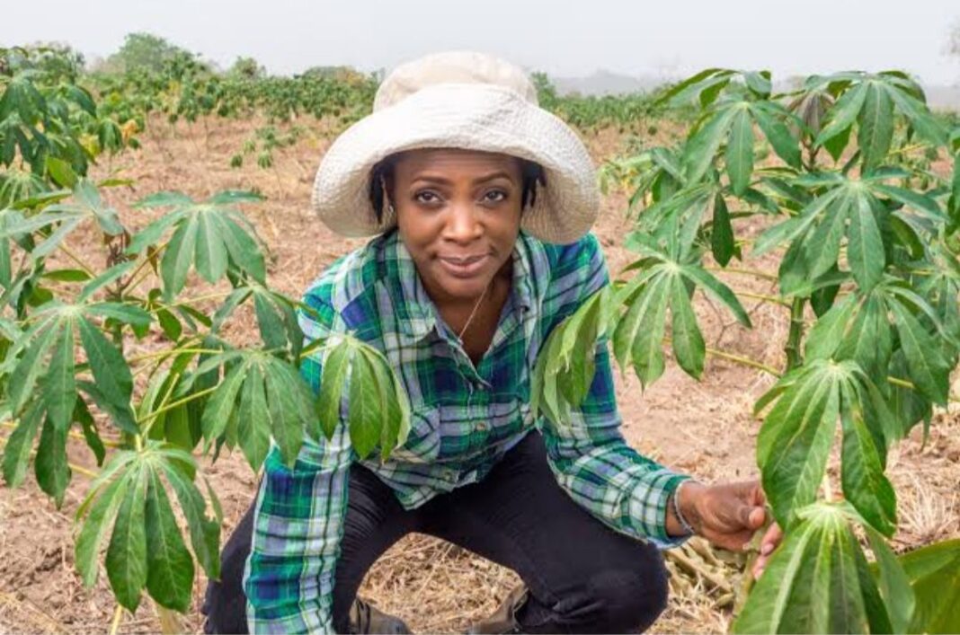 Women in Agriculture: I face discrimination ‘all the time’ – Farmer