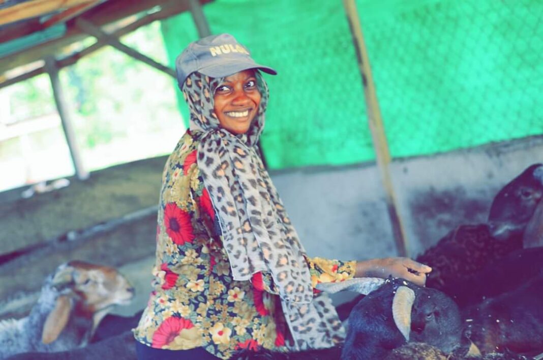 Women in Agriculture: My experience running livestock farm after studying law – Farmer
