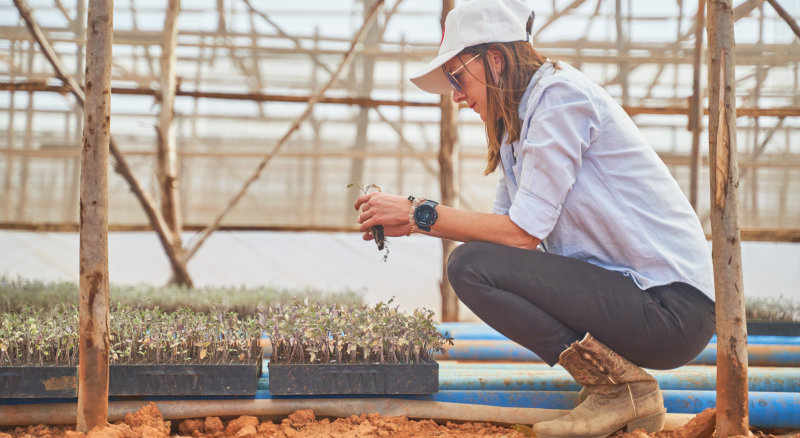 Women in Agriculture: ‘How I left U.S. to build tomato company in Nigeria’