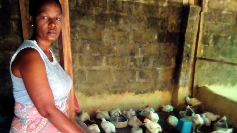 Women in Agriculture: ‘How pig farming has helped me as a widow’