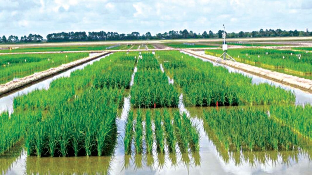 ‘Nigeria risks flood, crop loss for underfunding water sector’