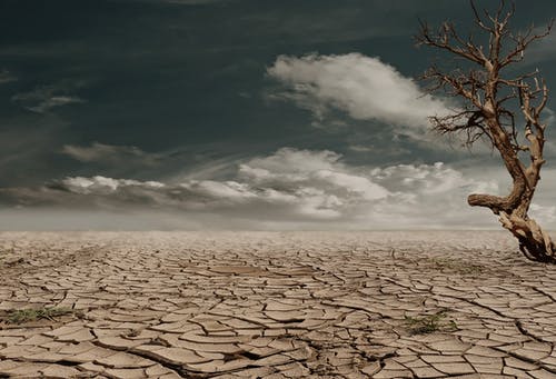 Climate Change: How farming fuels ecosystem degradation in Africa —Experts