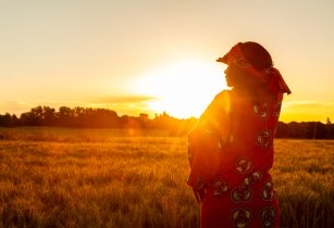 FAO launches Green Cities Regional Action Programme for Africa AdobeStock 293141357