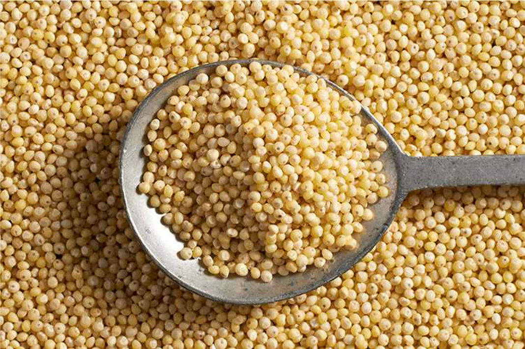 Gbagyi farmers narrate benefits of traditional method of grain preservation