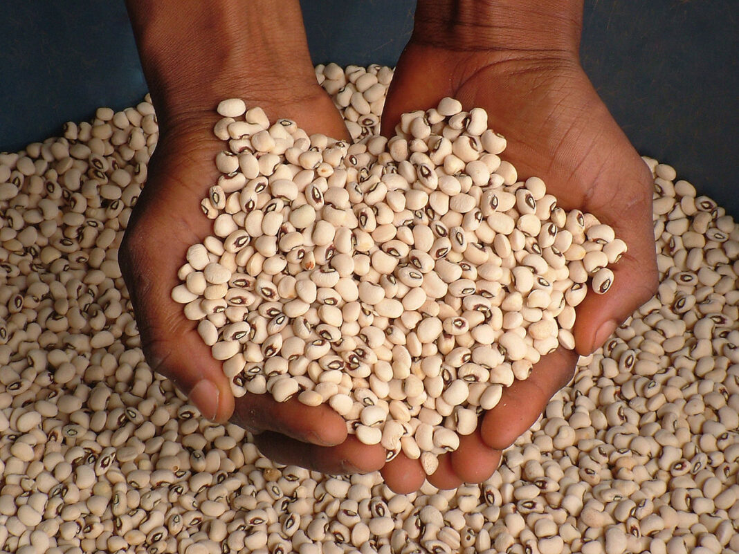 How effective food legislations, reform will tackle produce export ban