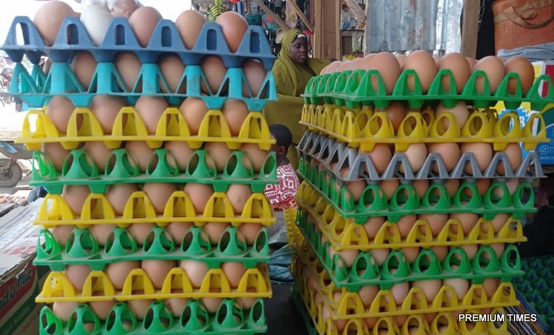 INFOGRAPHICS: Nigeria’s poultry, egg prices ‘highest ever’ amidst inflation, insecurity