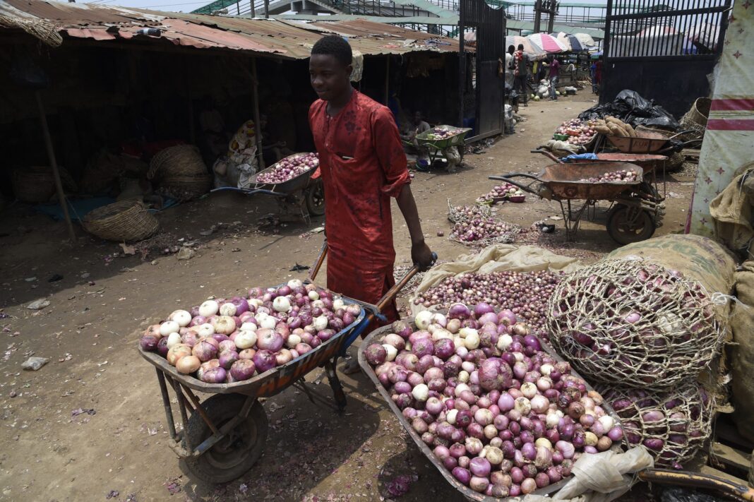 OWSD preaches multi-approaches to food insecurity, climate change