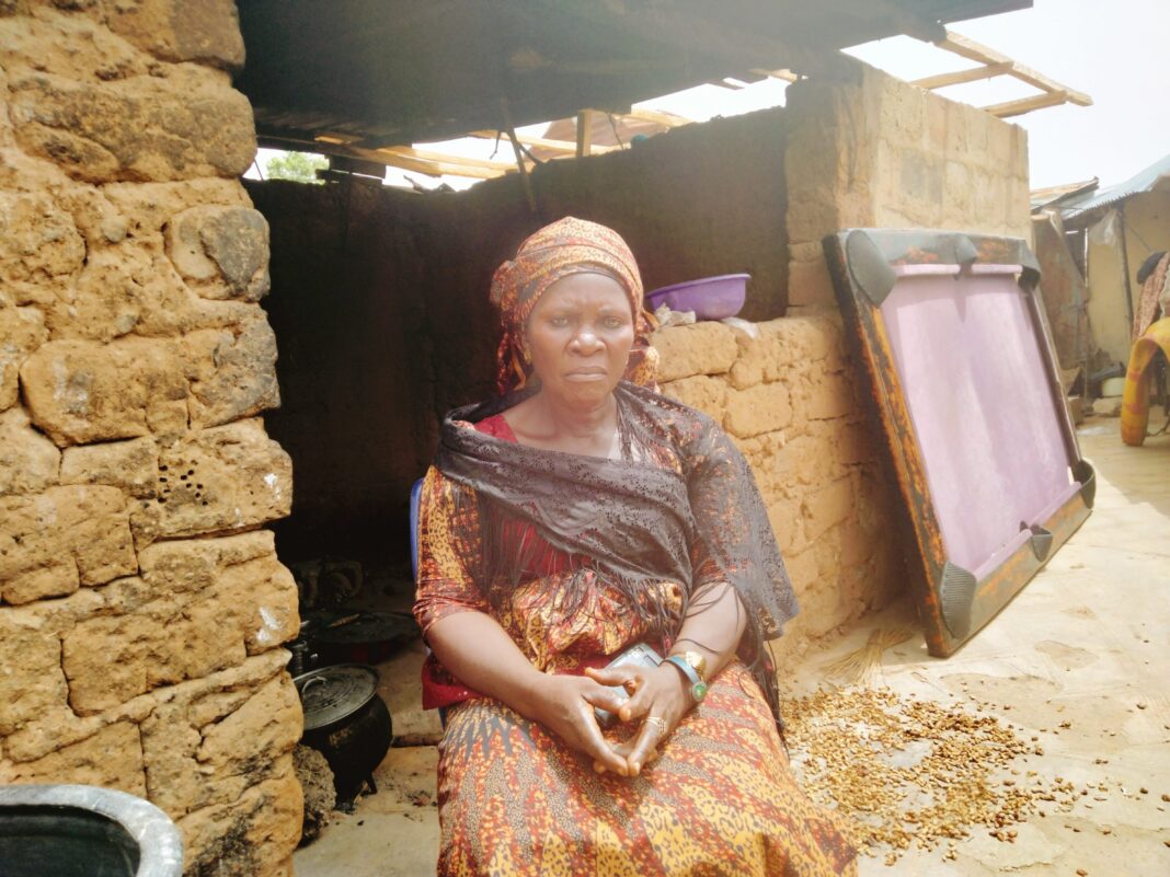 SPECIAL REPORT: How women farmers are responding to climate change in a Nigerian state