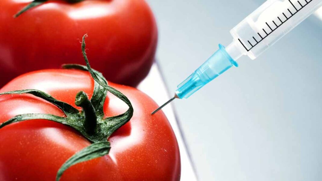 Stakeholders canvass stiff guidelines on GMO, others