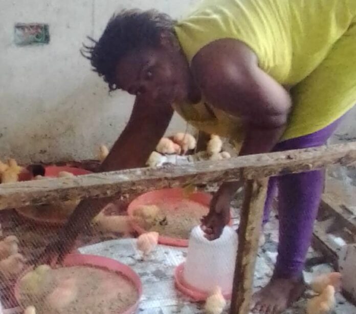 #Women in Agriculture: How herdsmen made me stop cultivating cassava #Women in Agriculture: How herdsmen made me stop cultivating cassava — Farmer