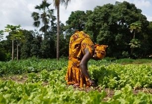 AfDB to support economic growth in Côte d'Ivoire AdobeStock 311874710