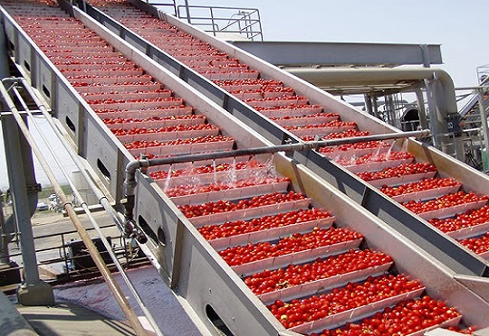 Dangote can’t buy enough tomatoes despite billions of dollar wealth