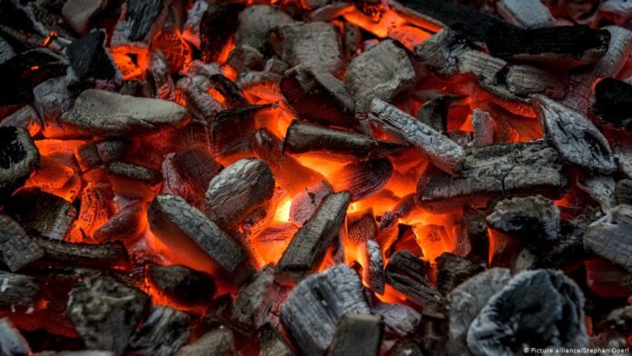Firm unveils biomass briquettes as substitute to traditional charcoal | Firm unveils biomass briquettes as substitute to traditional charcoal | The Guardian Nigeria News