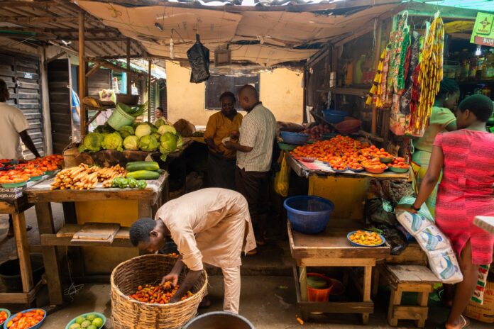 Researchers suggest ways to food security, national development