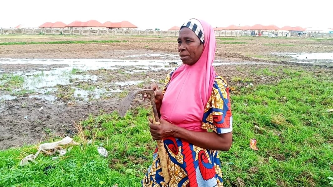 SPECIAL REPORT: Distraught Borno farmers displaced by Boko Haram languish in IDP camps