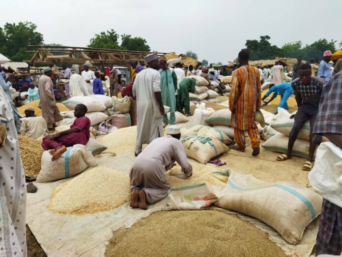 SPECIAL REPORT: How prices of rice, other cereals in Nigeria SPECIAL REPORT: How prices of rice, other cereals in Nigeria doubled in one year