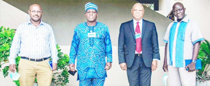 Shortage Of Maize, Soybean Crippling Poultry Sector – Experts