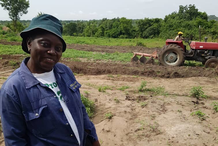 Women in Agriculture: How herders set my cashew farm on fire – Farmer