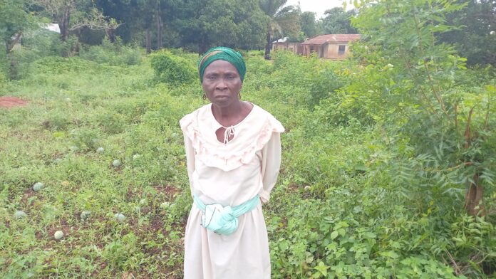 Women in Agriculture: What herders told me before destroying my crops — Farmer