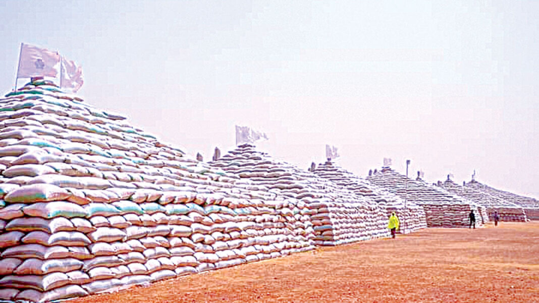 Despite ‘self-sufficiency’ claim, Nigerians battling with soaring price of rice