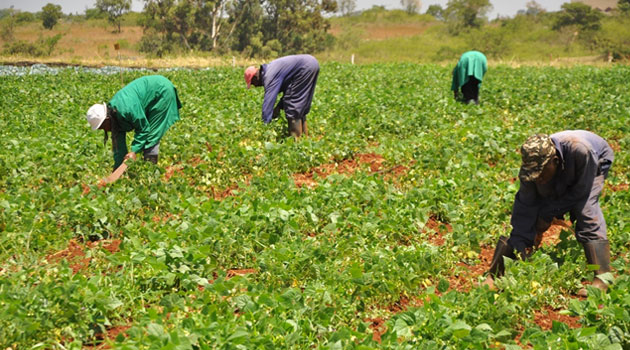 Edo plans new market to link farmers with buyers