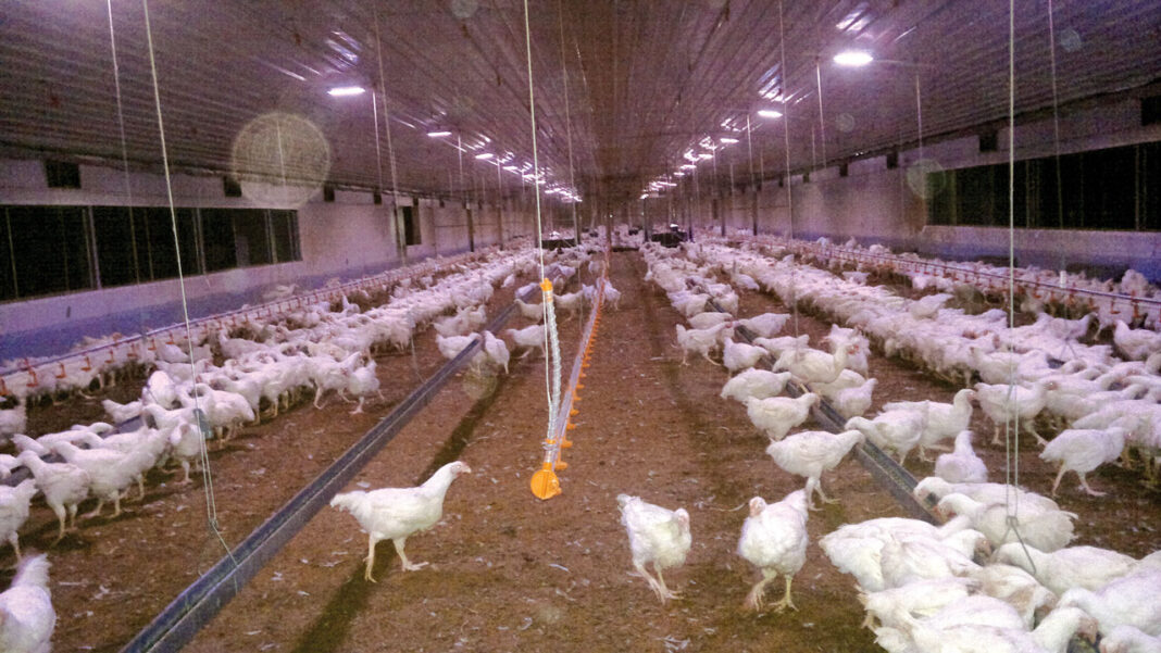 Energy solution to enhance farmers, SMEs productivity underway